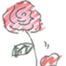 The Kristen Ann Carr Fund rose emblem